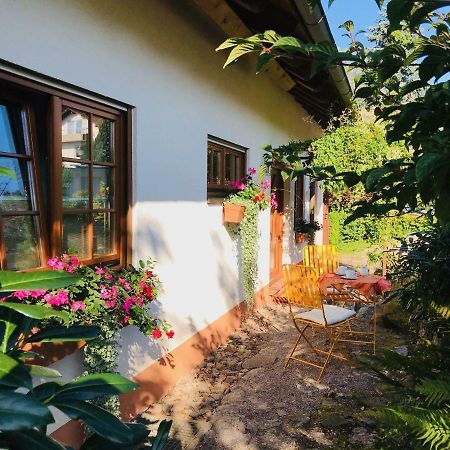 Ferienhaus Zirbe Rickenbach  Extérieur photo